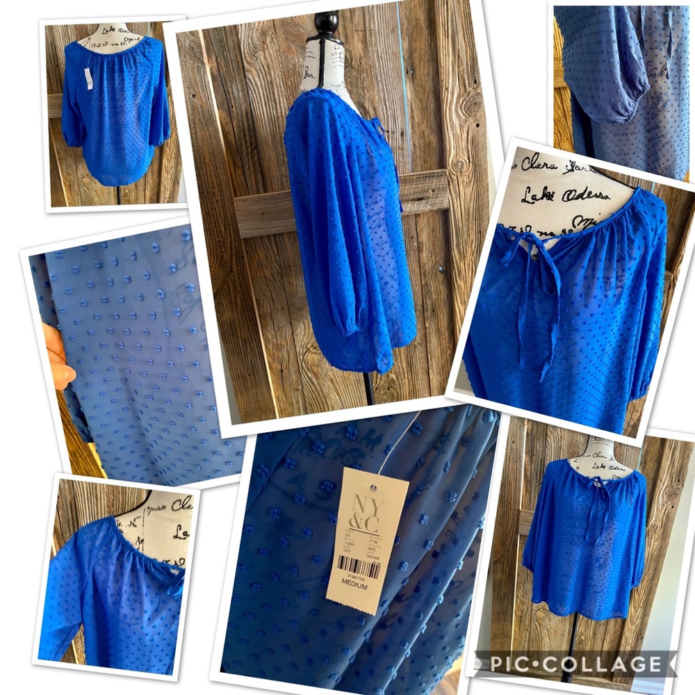NWT Blue polka dot sheer blouse